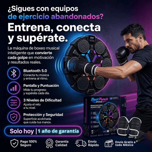 Maquina de Boxeo de Pared