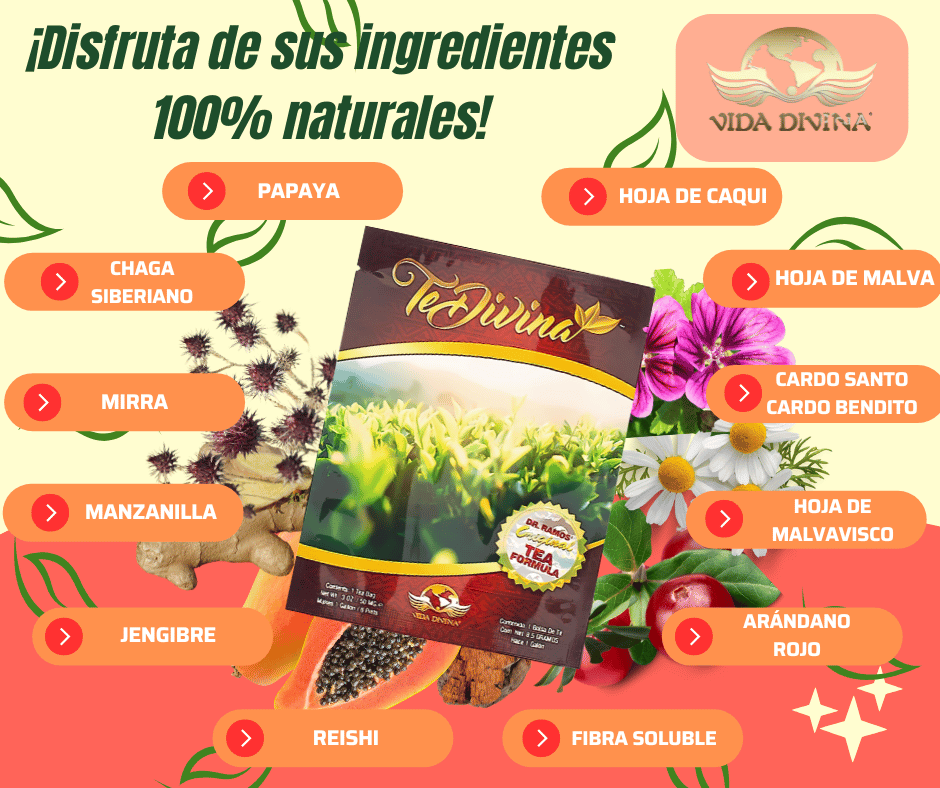 Vida Divina - Té Divina Detox Herbal 100% Original