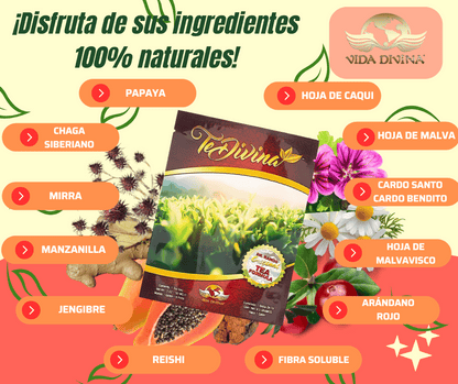 Vida Divina - Té Divina Detox Herbal 100% Original